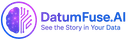DatumFuse.AI