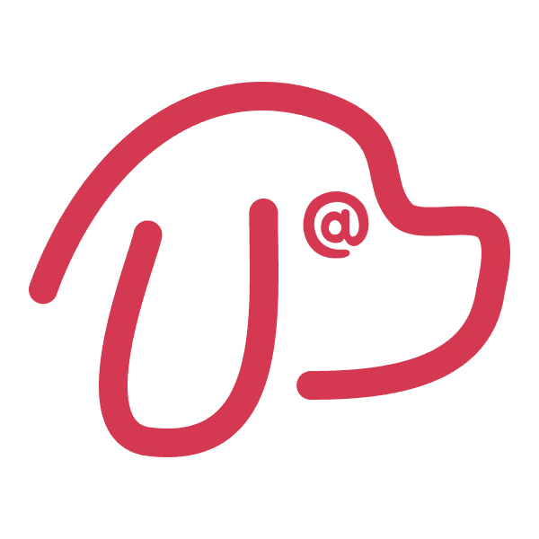 Dog Names World — Find the Perfect Name for Your Furry Friend logo